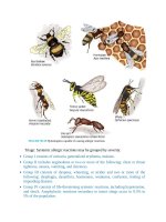 Pediatric emergency medicine trisk 2009 2009 