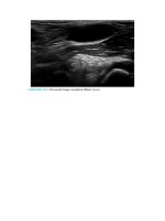 Pediatric emergency medicine trisk 3996 3996 