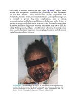 Pediatric emergency medicine trisk 1317 1317 