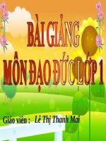 dd danh cho dia phuong t1 lop 1 108201813 (1) 