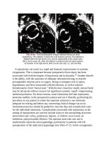 Andersons pediatric cardiology 986 