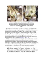 Andersons pediatric cardiology 1353 