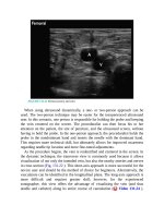 Pediatric emergency medicine trisk 4513 4513 