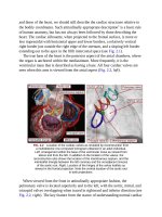 Andersons pediatric cardiology 69 