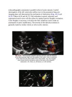Andersons pediatric cardiology 1190 