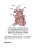 Andersons pediatric cardiology 369 
