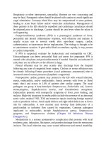 Pediatric emergency medicine trisk 1717 1717 