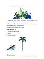 LÝ THUYẾT TIẾNG VIỆT 1 TẬP ĐỌC TẶNG CHÁU