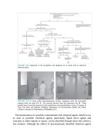Pediatric emergency medicine trisk 1141 
