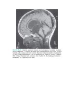 Pediatric emergency medicine trisk 2498 2498 