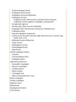 Pediatric emergency medicine trisk 1096 1096 