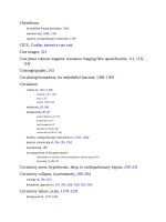 Andersons pediatric cardiology 2340 