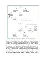 Pediatric emergency medicine trisk 1437 1437 
