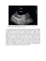 Pediatric emergency medicine trisk 4501 4501 