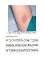 Pediatric emergency medicine trisk 1314 1314 