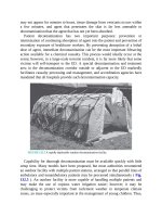 Pediatric emergency medicine trisk 4562 4562 