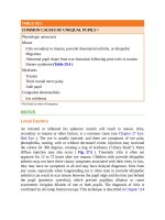 Pediatric emergency medicine trisk 0610 0610 