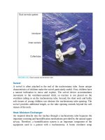 Pediatric emergency medicine trisk 4641 4641 