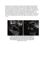 Andersons pediatric cardiology 984 