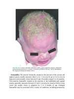 Pediatric emergency medicine trisk 2490 2490 