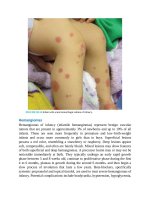 Pediatric emergency medicine trisk 1341 1341 