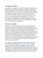 Andersons pediatric cardiology 2130 