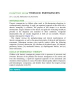 Pediatric emergency medicine trisk 4062 4062 