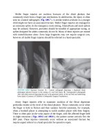 Pediatric emergency medicine trisk 3347 3347 