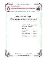BÁO cáo THỰC tập CÔNG NGHỆ CHẾ BIẾN LƯƠNG THỰC bài 1 sản XUẤT bột và TINH bột 
