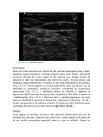 Pediatric emergency medicine trisk 4524 4524 