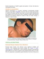 Pediatric emergency medicine trisk 1324 1324 