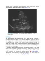 Pediatric emergency medicine trisk 4504 4504 