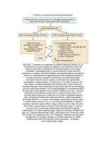 Andersons pediatric cardiology 1393 