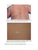 Pediatric emergency medicine trisk 2486 2486 