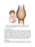 Pediatric emergency medicine trisk 4080 4080 
