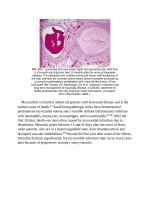 Andersons pediatric cardiology 1391 