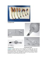 Pediatric emergency medicine trisk 47 
