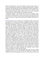 Pediatric emergency medicine trisk 4546 4546 