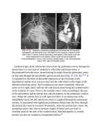 Andersons pediatric cardiology 1263 