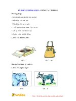 LÝ THUYẾT TIẾNG VIỆT 1 CHÍNH TẢ CÁI BỐNG