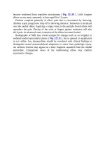 Pediatric emergency medicine trisk 3954 3954 