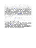 Pediatric emergency medicine trisk 1354 1354 