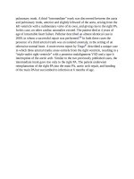 Andersons pediatric cardiology 1360 