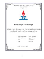 (Luận văn HV chính sách và phát triển) phân tích báo cáo tài chính công ty TNHH in và phát triển thương mại đại dương 