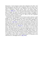 Pediatric emergency medicine trisk 3456 3456 