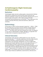 Andersons pediatric cardiology 1659 