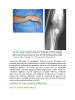 Pediatric emergency medicine trisk 3484 3484 