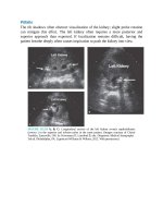 Pediatric emergency medicine trisk 4505 4505 