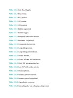 Pediatric emergency medicine trisk 1133 