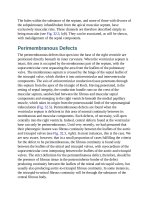 Andersons pediatric cardiology 835 